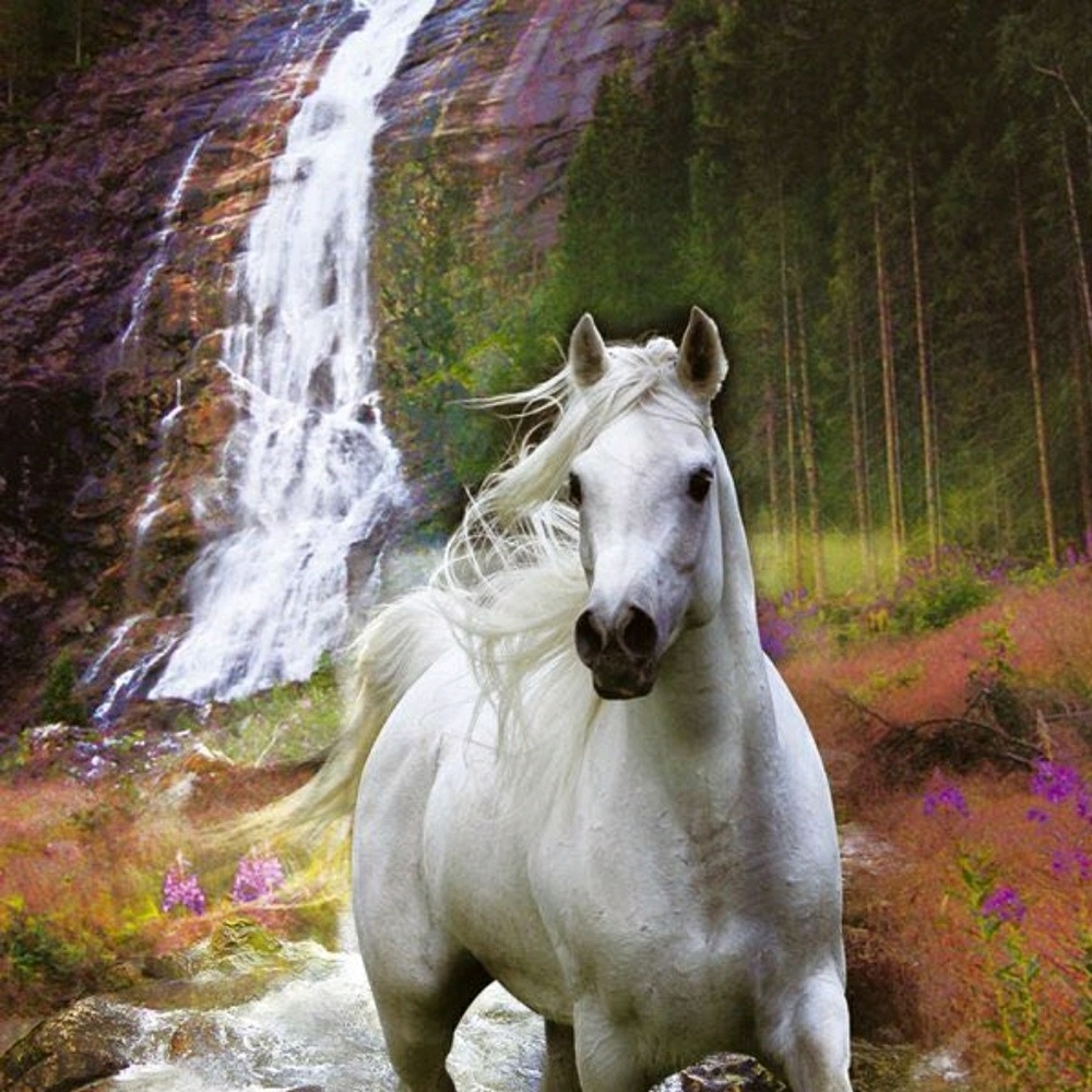 Meet your Posher, Beatriz